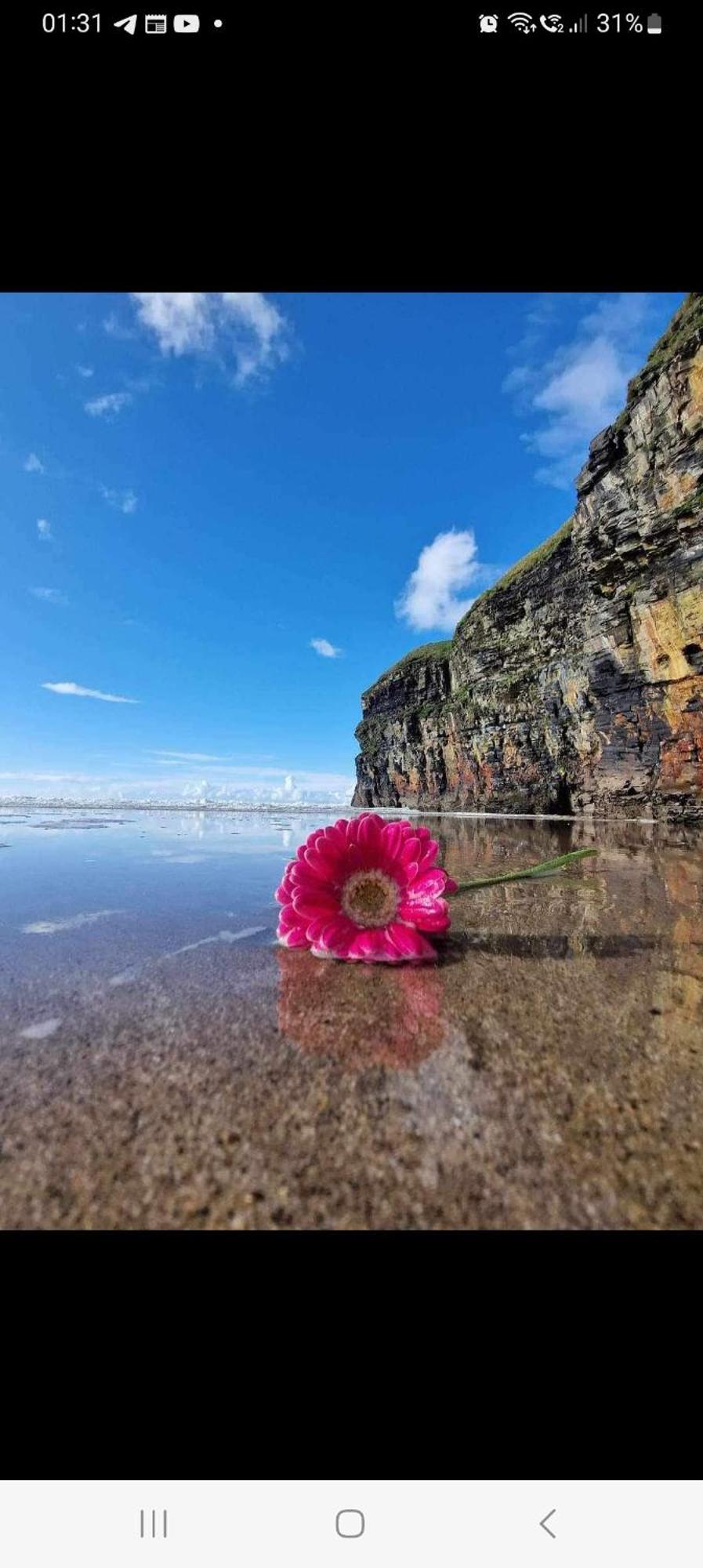 Luxury Holiday Rental With Sea Views On The Wild Atlantic Way Trá Lí Esterno foto